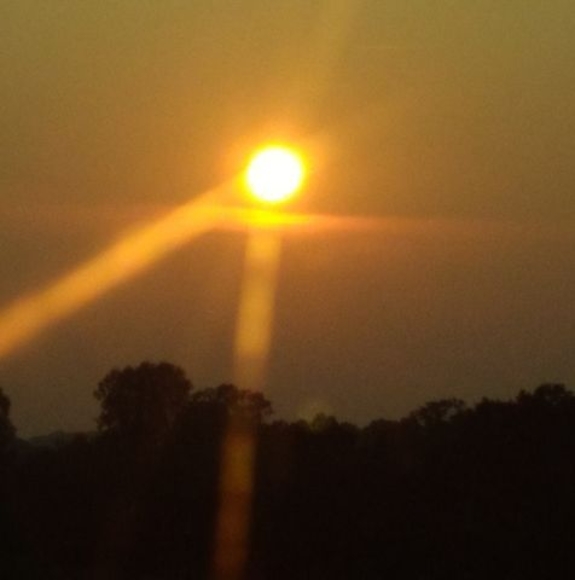 Meet your Posher, James - Picture 1 of 1